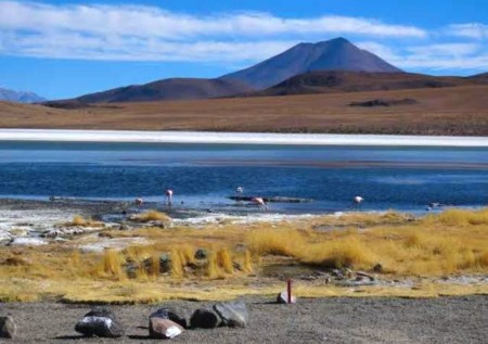 Atacama Desert to Uyuni Salt Flats